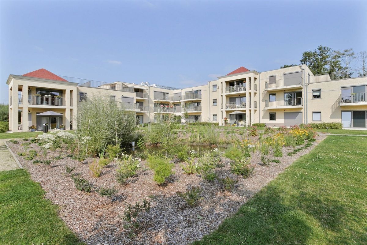 Achterzijde van de residentie met tuin en beplanting